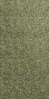 PARROT6 278LP.jpg